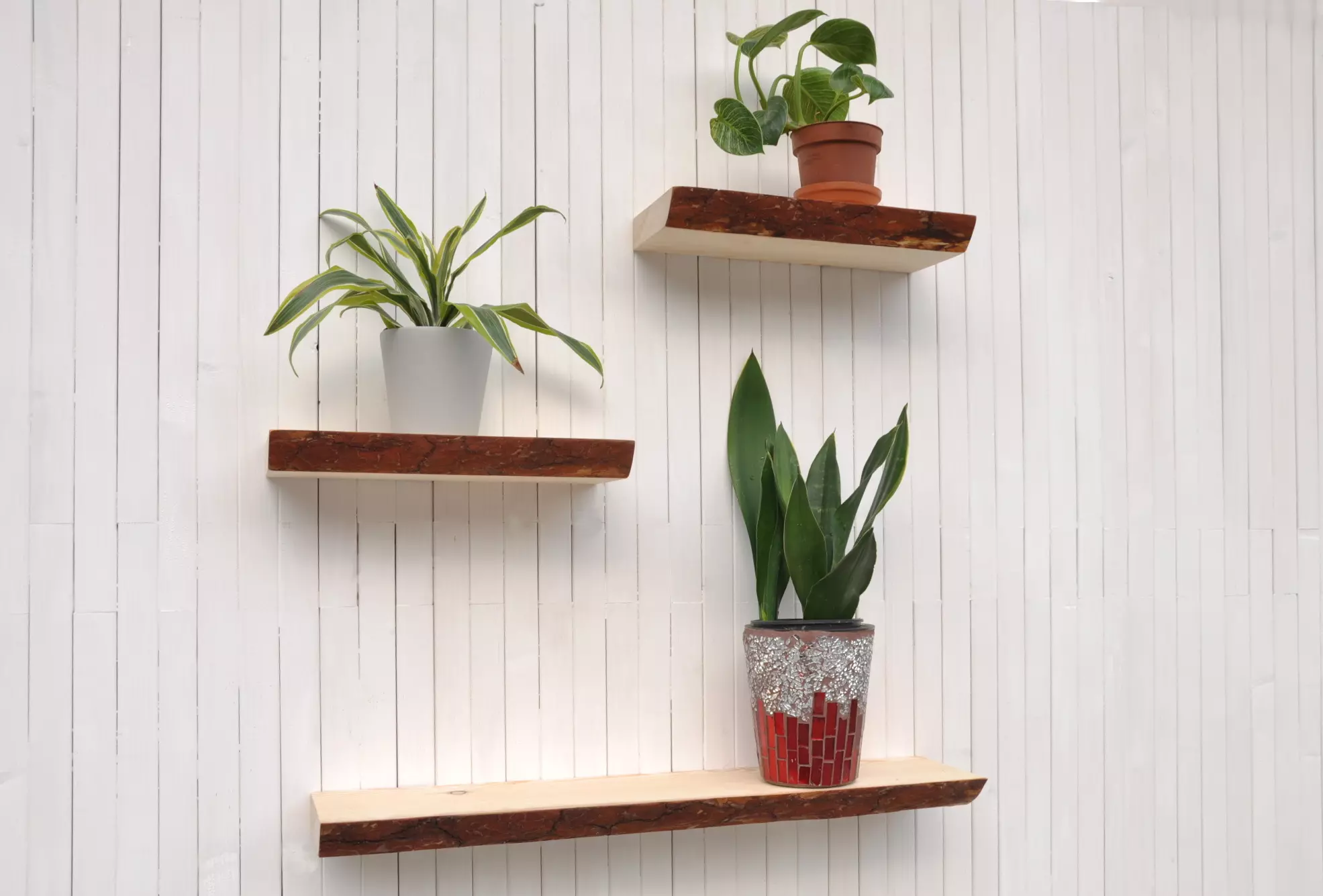 Houten plank van Barin Toys Bark keuken wandplank zwevend plankje aan de muur van massief hout unieke plank met een levende rand met schors bestel je online bij BarinToys.nl winkel met gratis verzending.