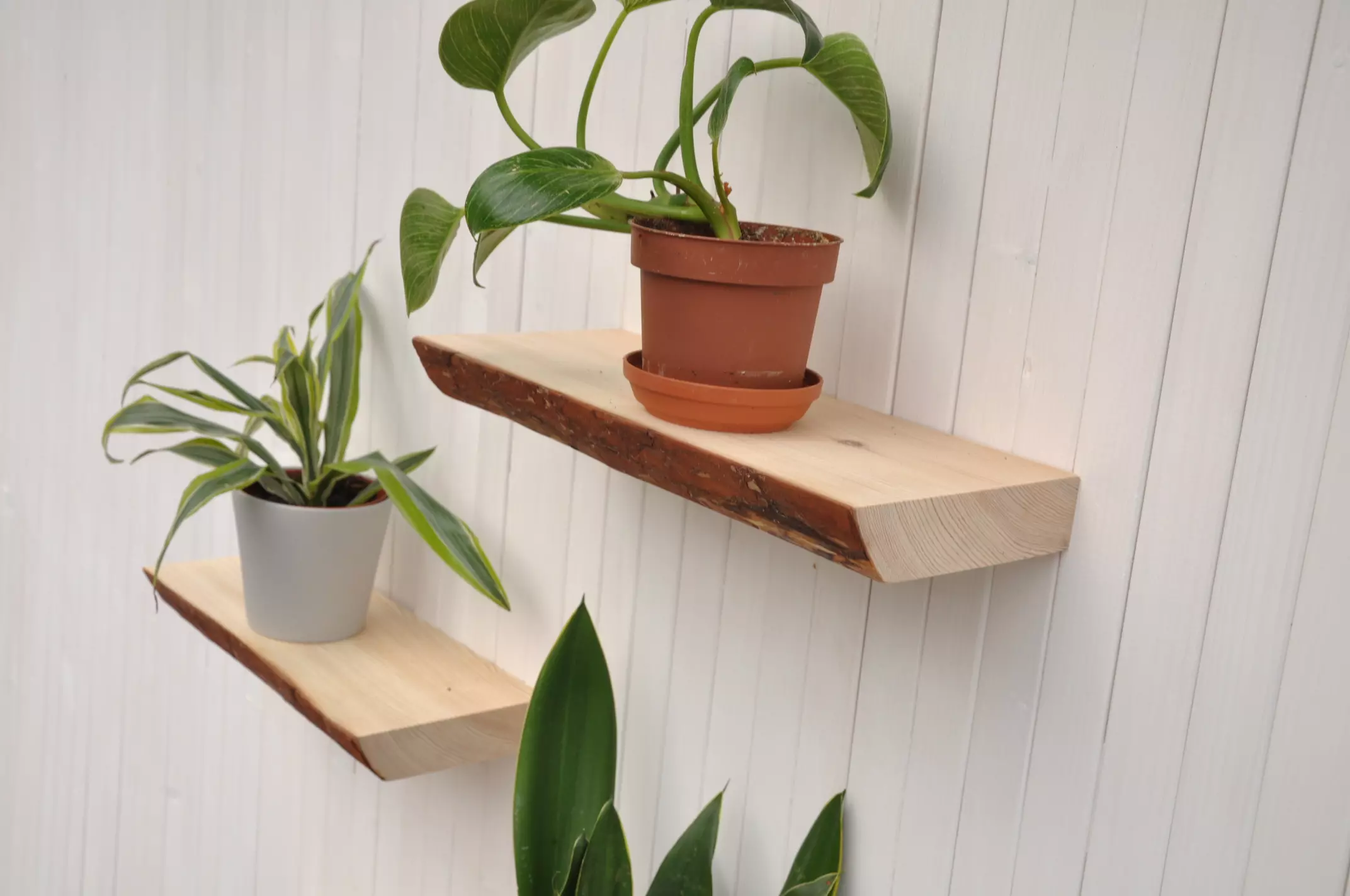 Zwevende wandplank Barin Toys Bark steigerhout blind houten plank aan de muur in het wc, badkamer, keuken, woonkamer, kinderkamer of slaapkamer voegt karakter en uniciteit toe aan elke kamer.